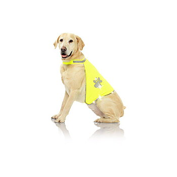 Reflexväst hund Dogsafety, L
