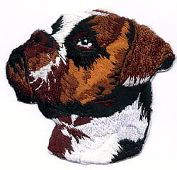 Brodyr - Boxer