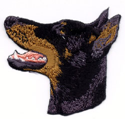 Brodyr - Dobermann, kuperad