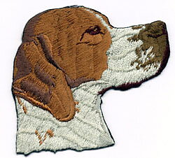 Brodyr - Pointer
