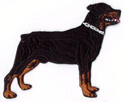 Brodyr - Rottweiler