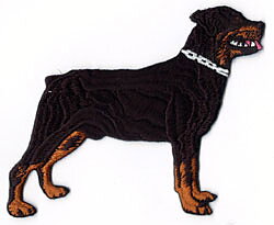 Brodyr - Rottweiler