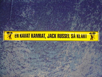 Dekal - En kavat jack russel (5x48 cm)