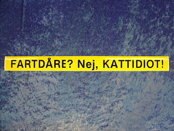 Dekal - Fartdåre/kattidiot (5x48 cm)