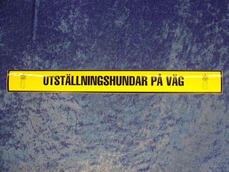 Dekal - Utställningshundar .. (5x48 cm)