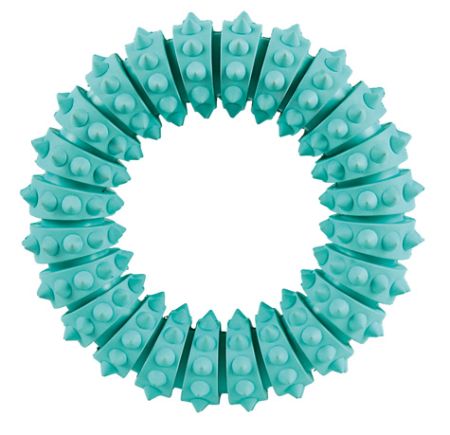 Denta Fun Ring 12cm, mint