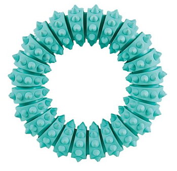Denta Fun Ring 12cm, mint