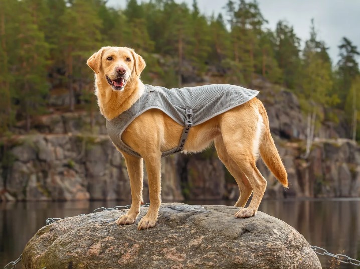 Cooling vest Rukka  - 2