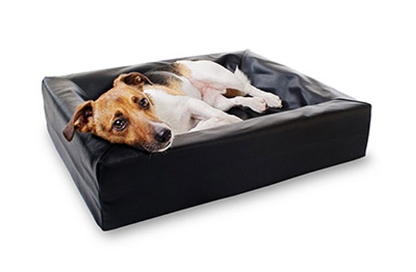 Bia-Bed