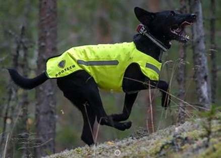 Jaktväst