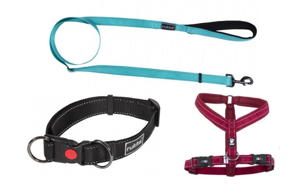 Halsband, Koppel & Sele till hund