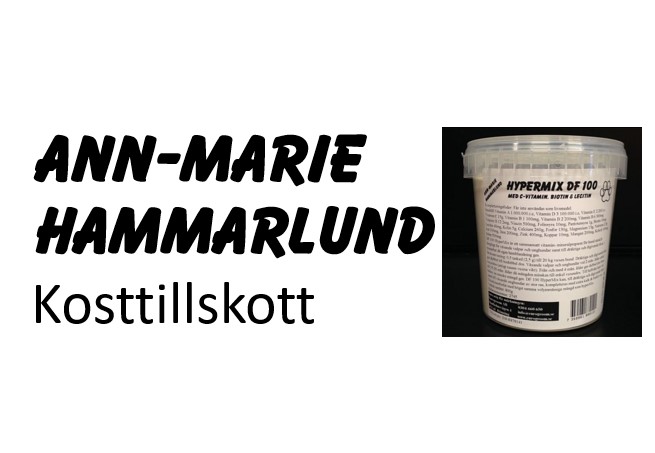 Ann-Marie Hammarlund