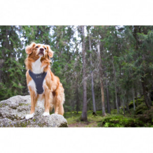 Hundselar