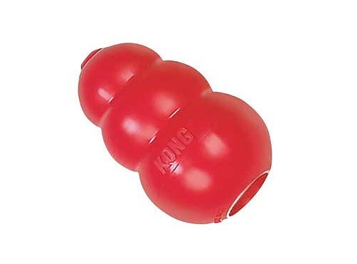 Kong