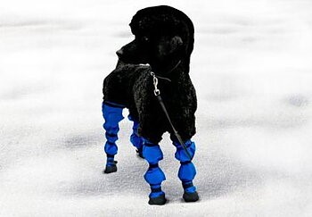 Leggings / Övrigt