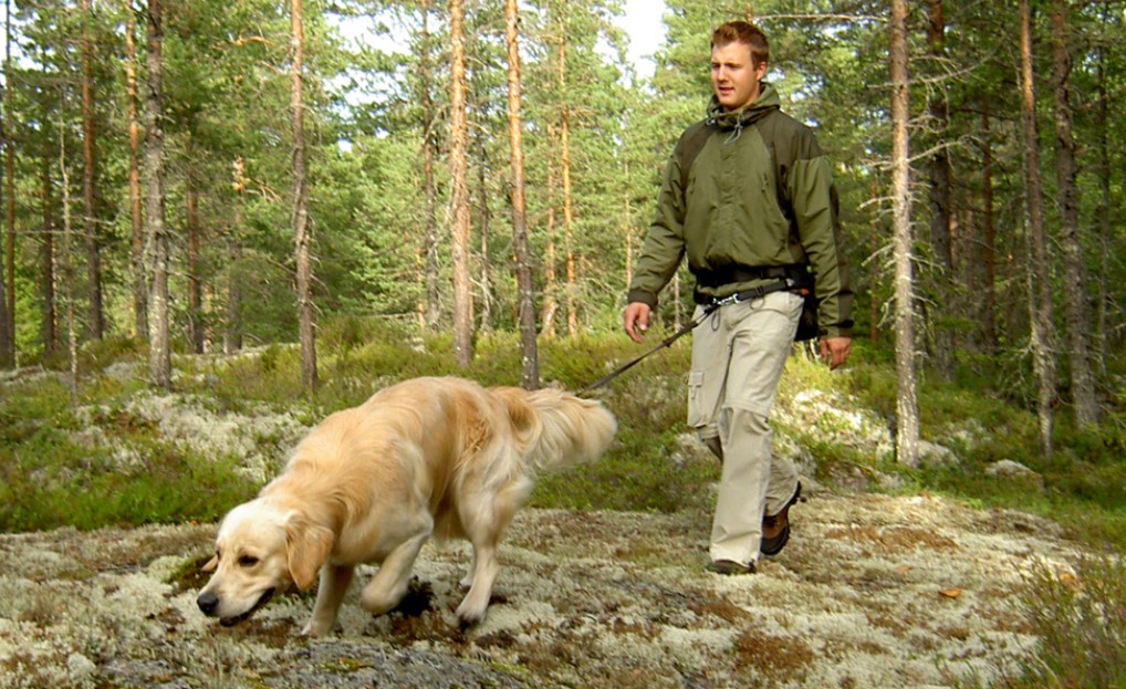 Husse & Matte