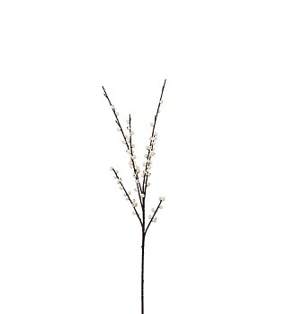 Bärkvist vit, 80 cm (Skickas ej)