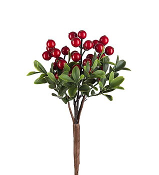 Bärkvist, röd 20 cm