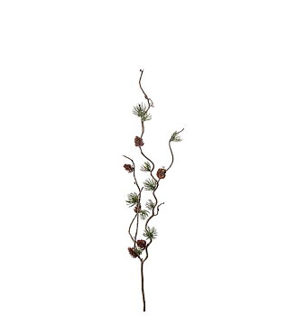 Lärkkvist, 60 cm