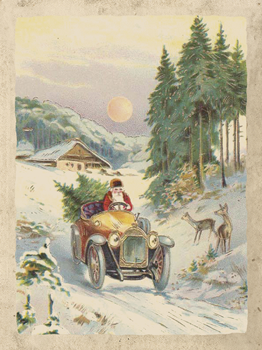 Poster Julskog med Tomte