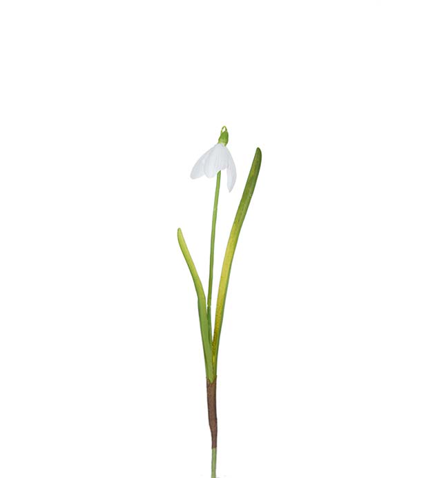 Snödroppe 23 cm