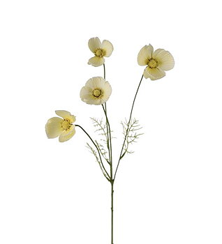 Rosenskära 60 cm