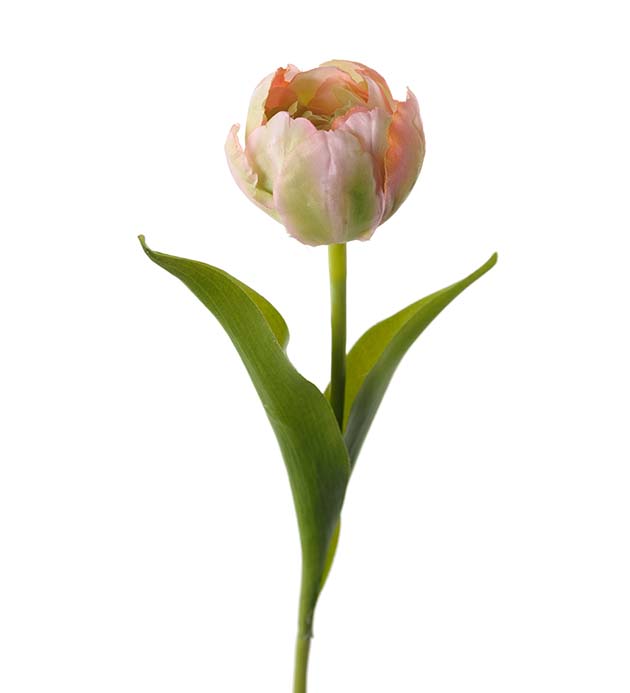 Tulpan rosa, 36 cm