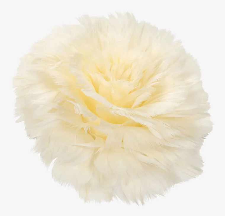 Fjäderblomma med clip, vanilj