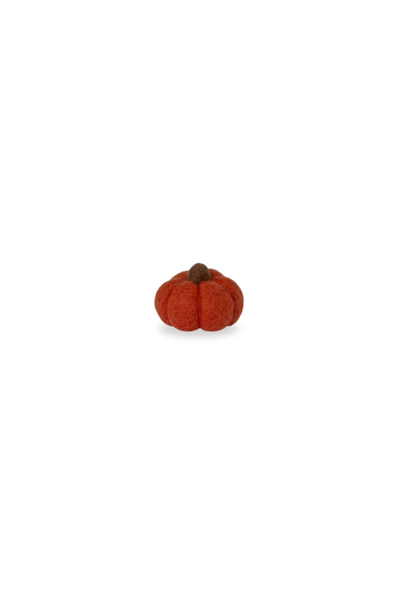 Pumpa Haga, orange