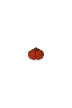 Pumpa Haga, orange