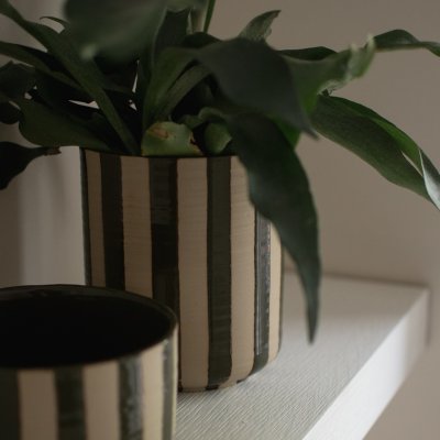 Kruka Line DBKD, stripe green - 5