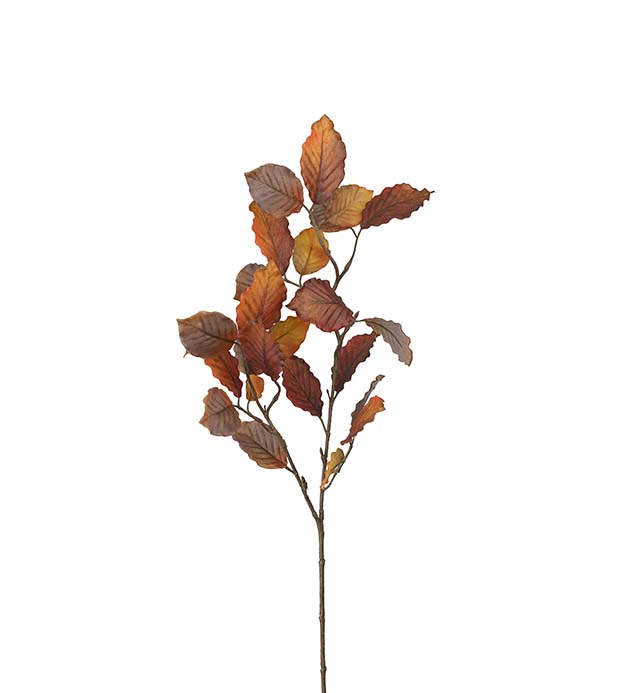 Kvist, 70 cm