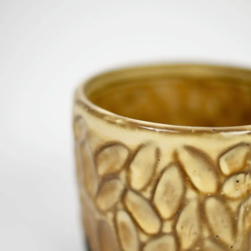 Koppar Maja, senapsgul - 2