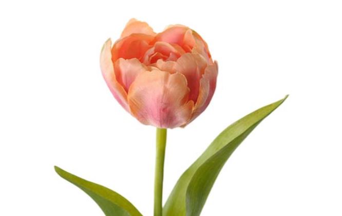Konstgjorda blommor