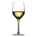Terroir Aromatic White Wine 38 cl
