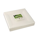 Tallrikar av sockerrör "pure" vit - 26x26 cm