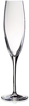 Champagneglas Penelopé 17 cl