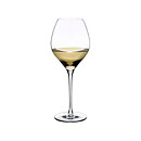 Fantasy Vitvinsglas 79 cl