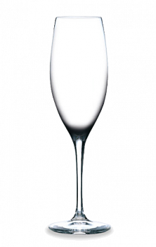 Champagneglas Rona 23 cl