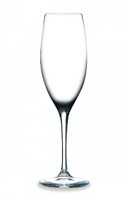Champagneglas Rona 23 cl