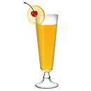 Cocktailglas Polykarbonat 49 cl