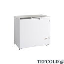 Frysbox FR305S SL, RF lock, 278 liter