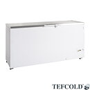 Frysbox FR605S SL, rostfritt lock, 567 liter