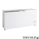 Frysbox FR605S SL, rostfritt lock, 567 liter