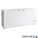 Frysbox FR605 SL, 567 liter