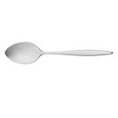 Bordssked Hisar Mercury