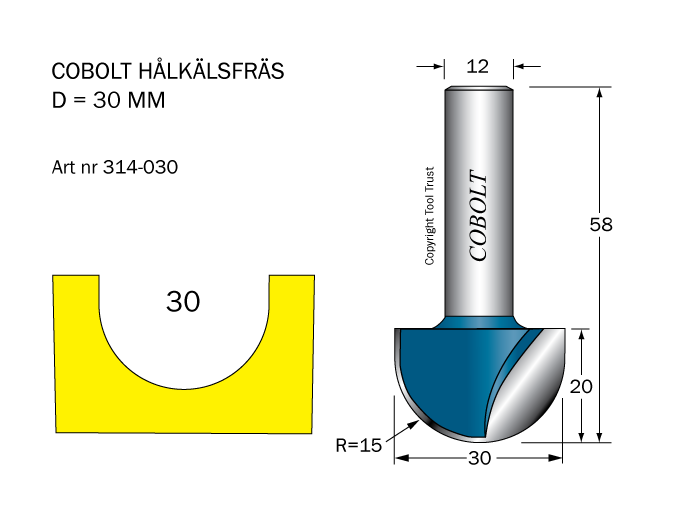 Hålkälsfräs R=15 D=30 L=20 TL=58 S=12 - 2