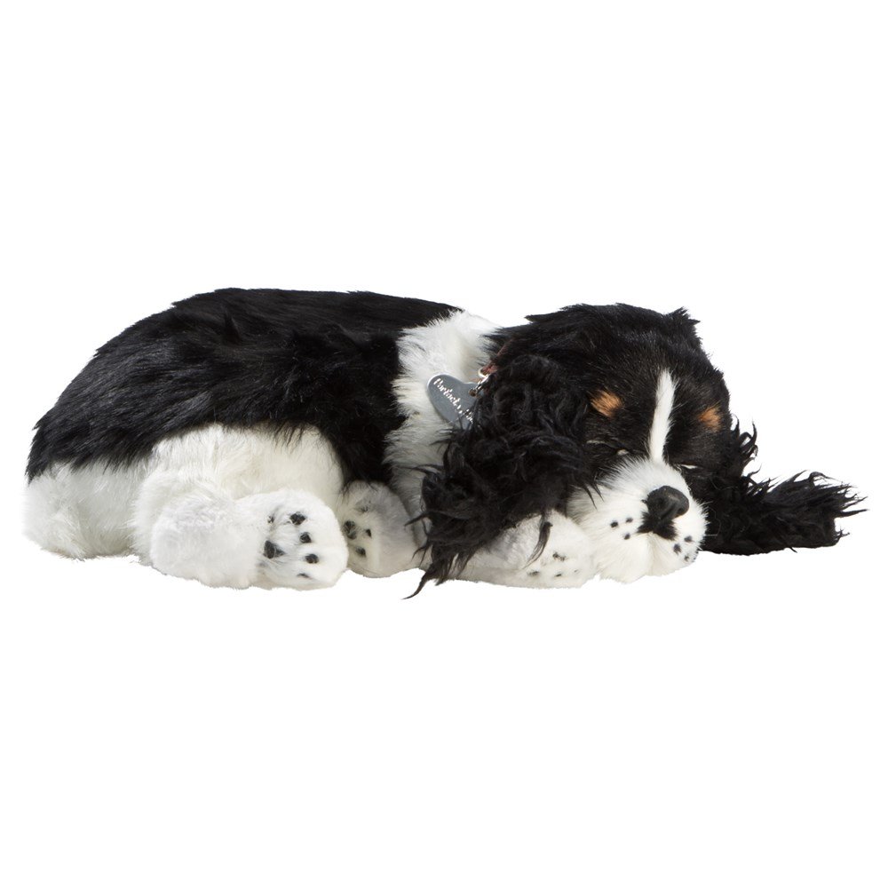 Perfect Petzzz- Cocker Spaniel Valp - 3