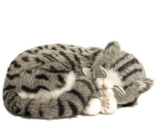 Perfect Petzzz- Katt grå tabbykatt