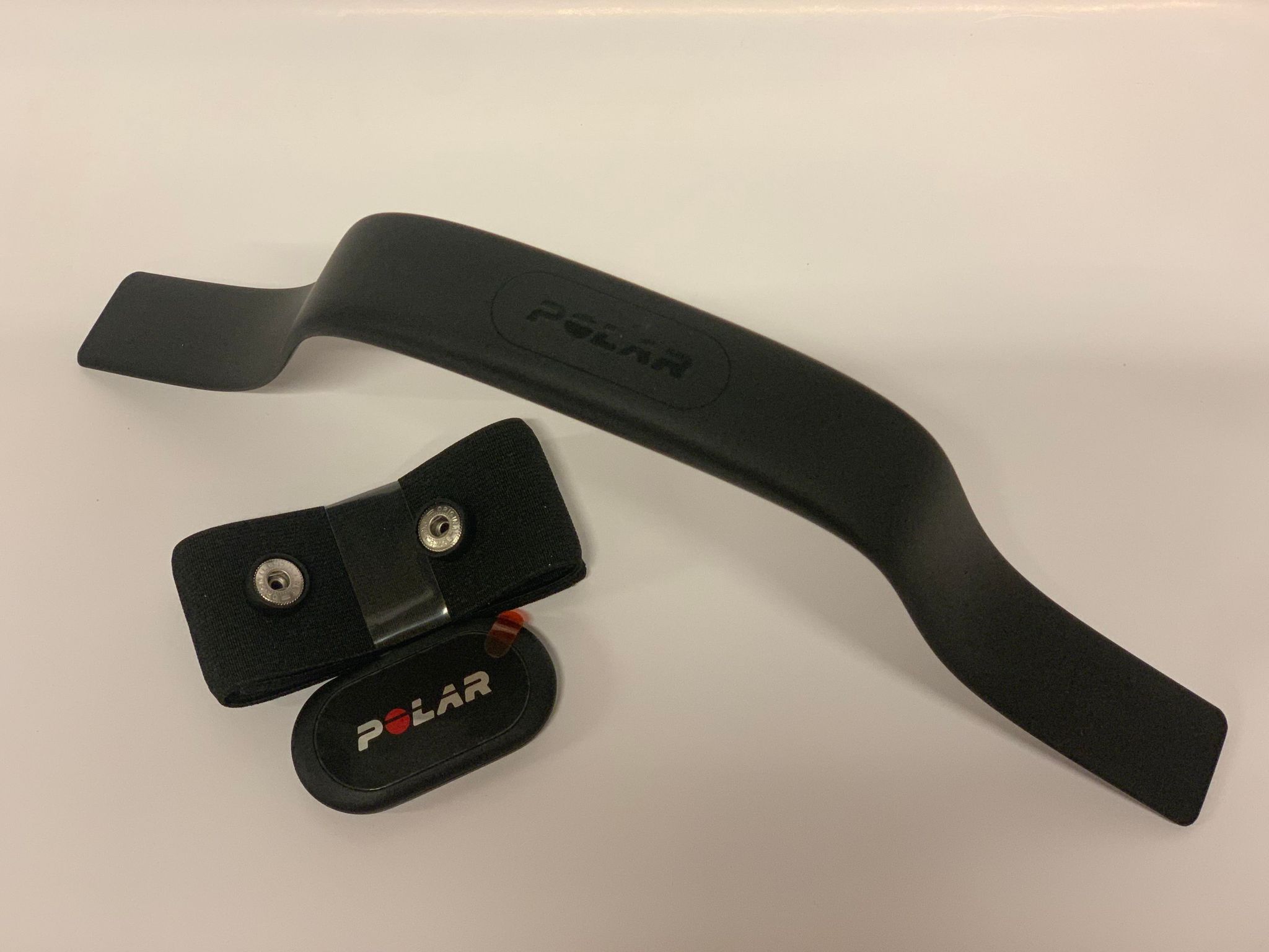 Polar Equine handtag med H10 sensor - 7